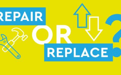 Cygnia Maintenance repair or replace